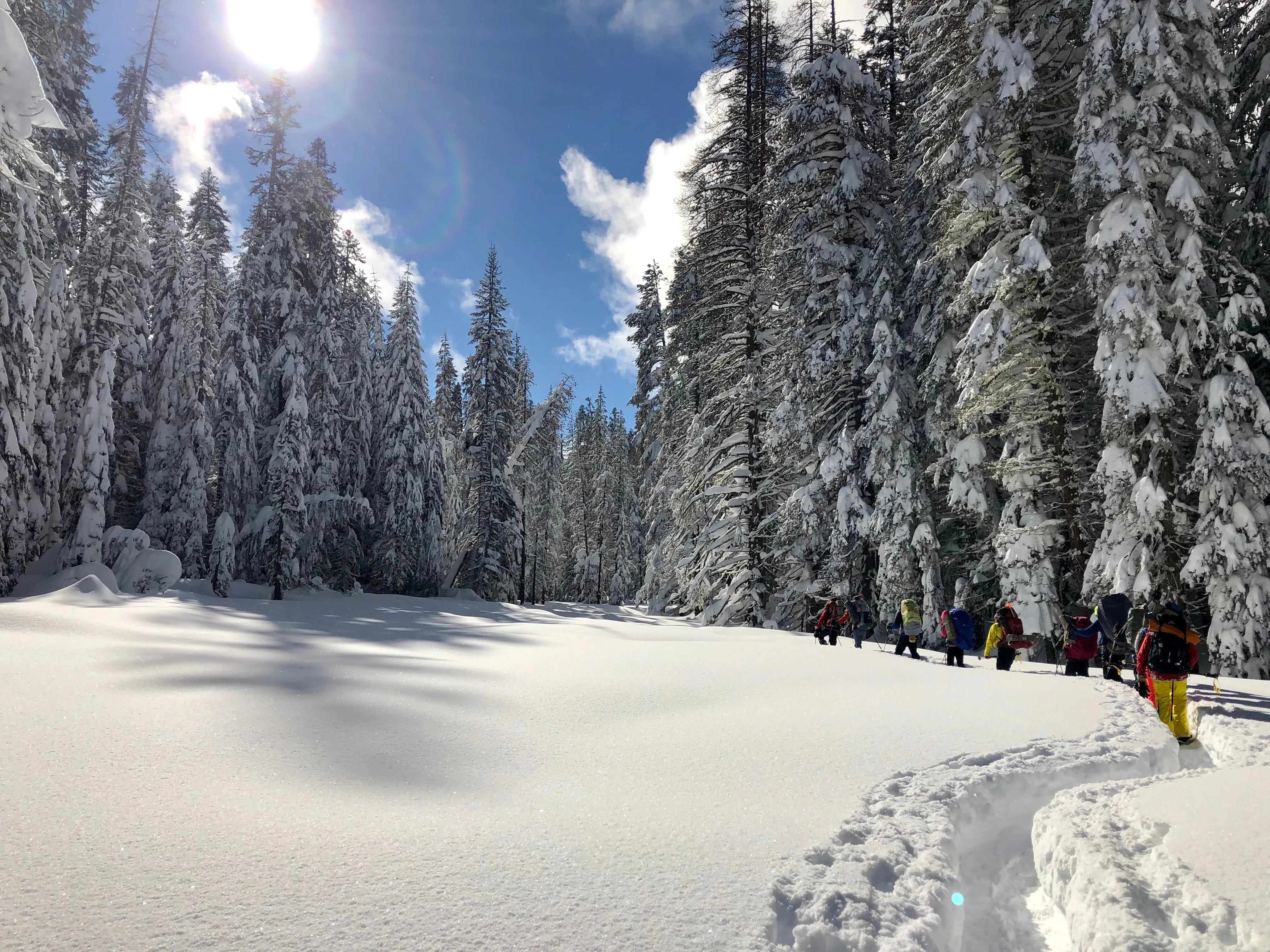 Snowshoeing Yosemite: Valley Overlook