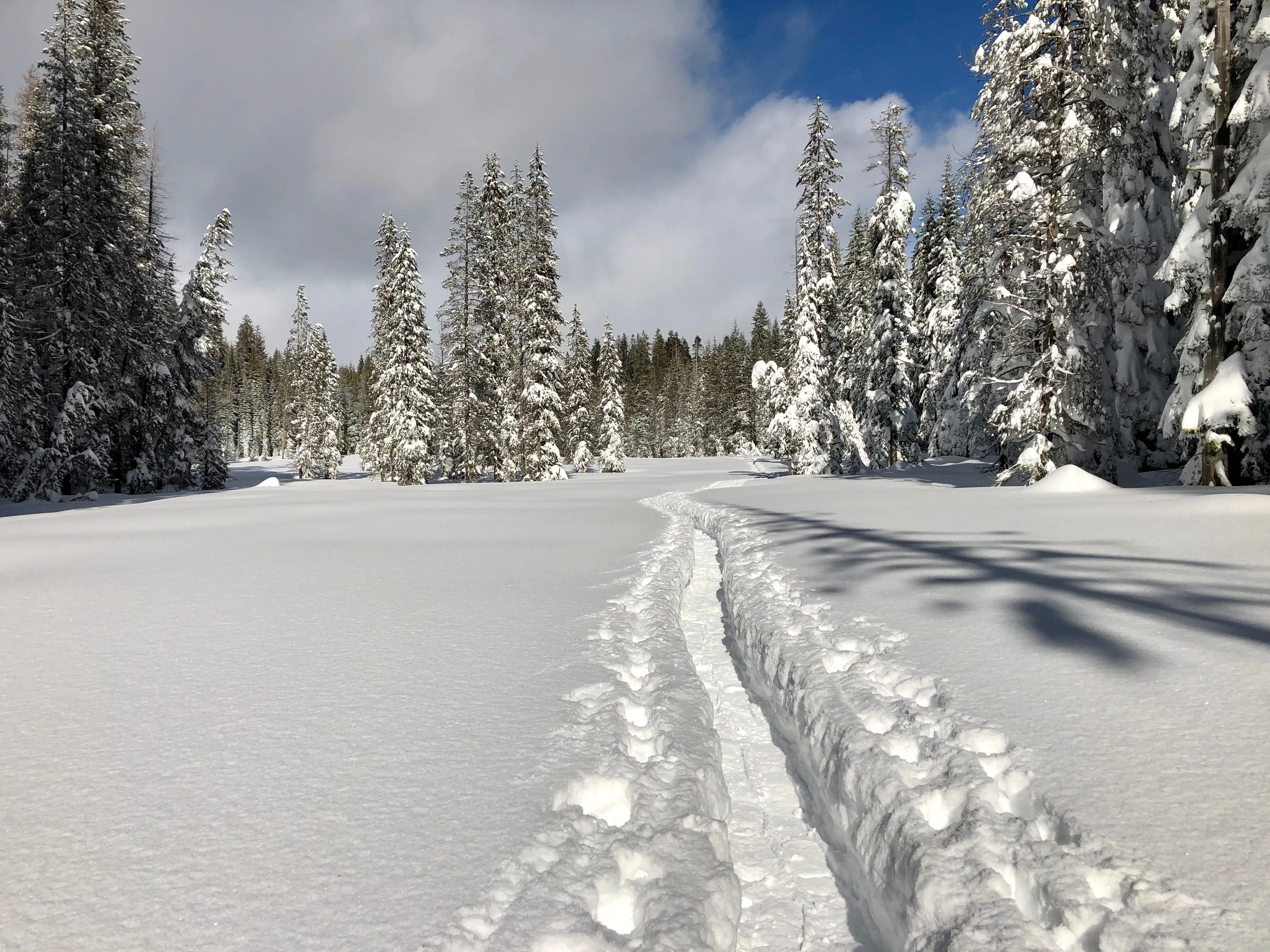 Snowshoeing Yosemite: Valley Overlook