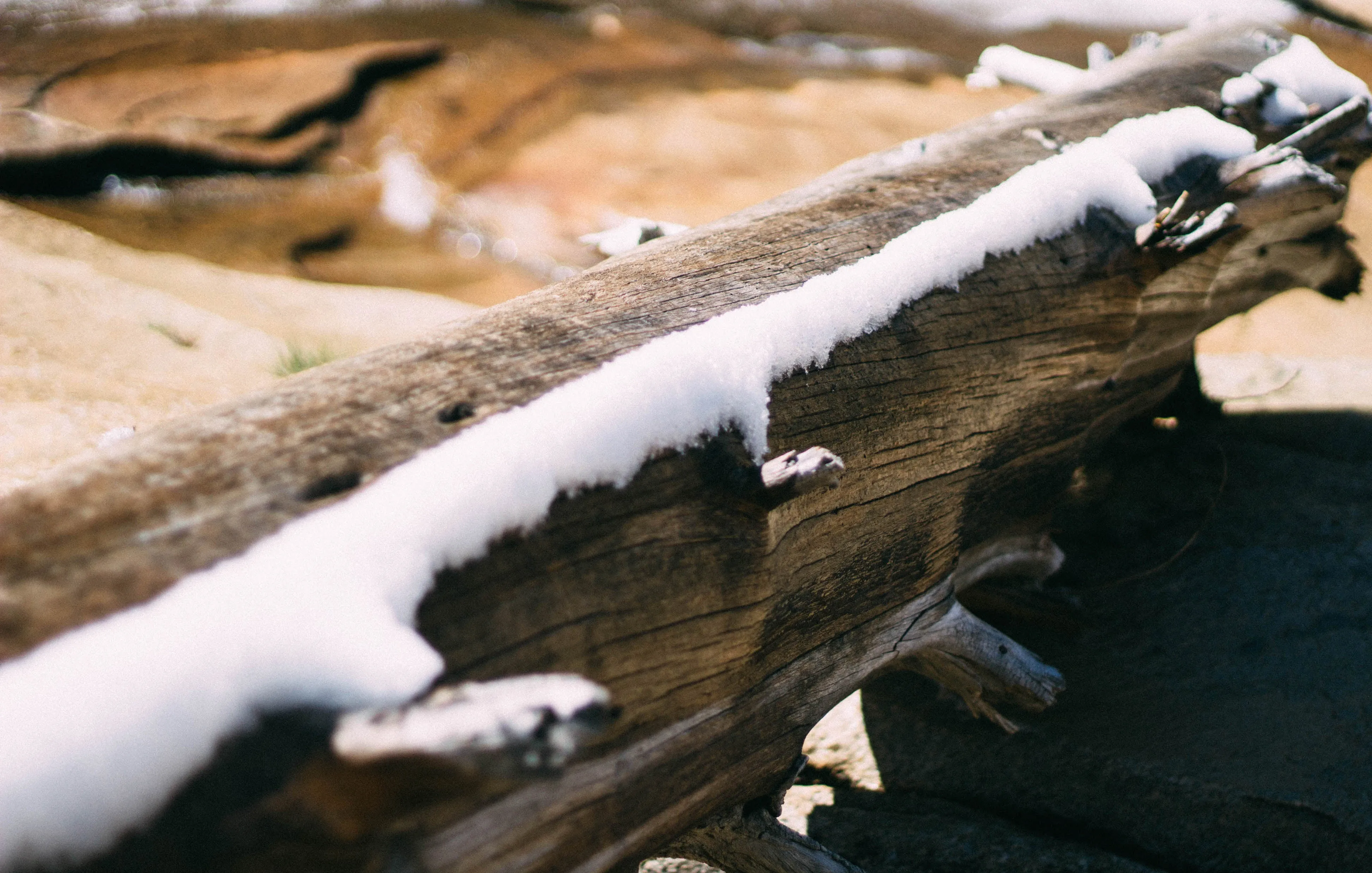 Snowshoeing Yosemite: Valley Overlook
