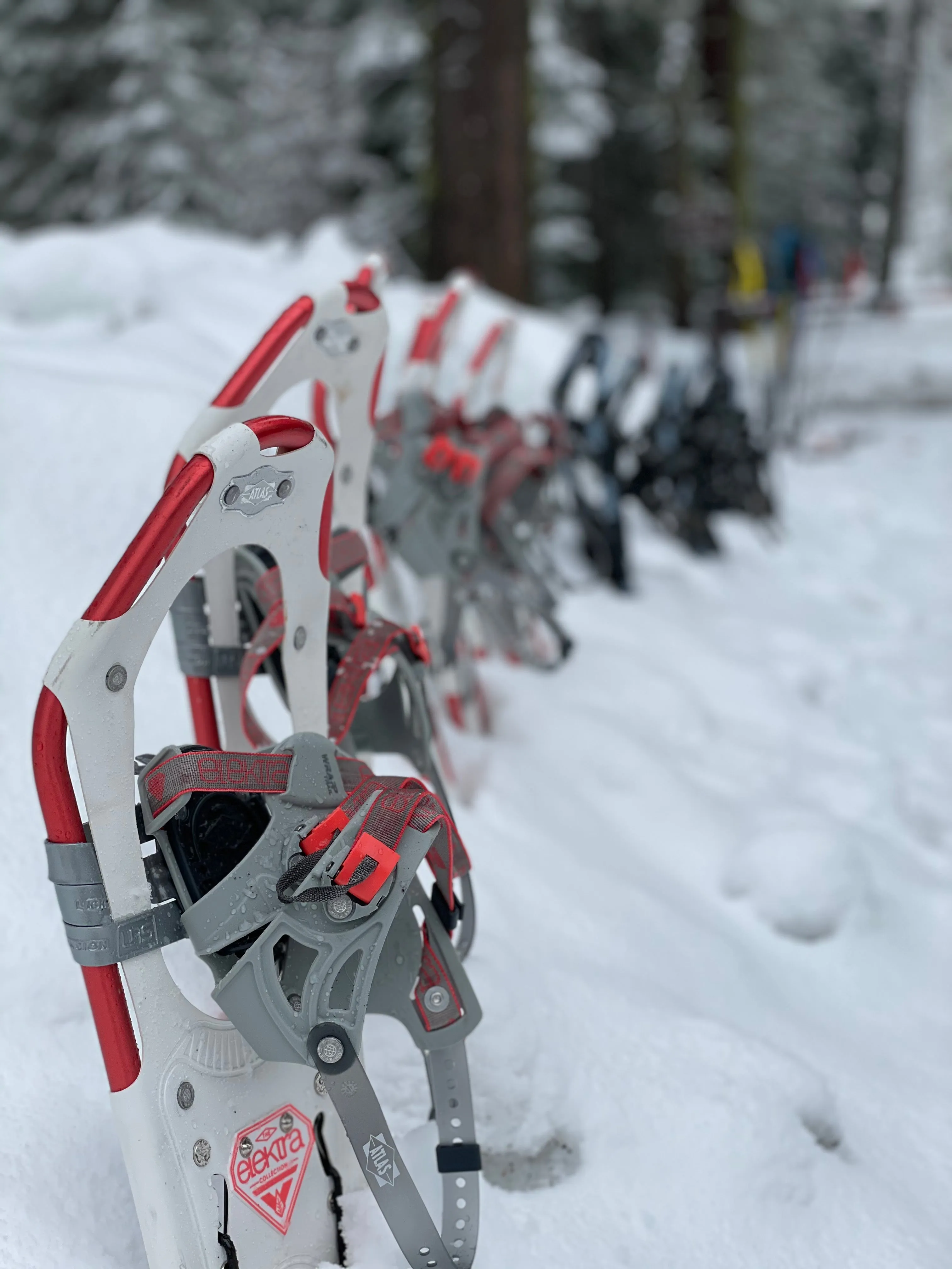 Snowshoeing Yosemite: Valley Overlook