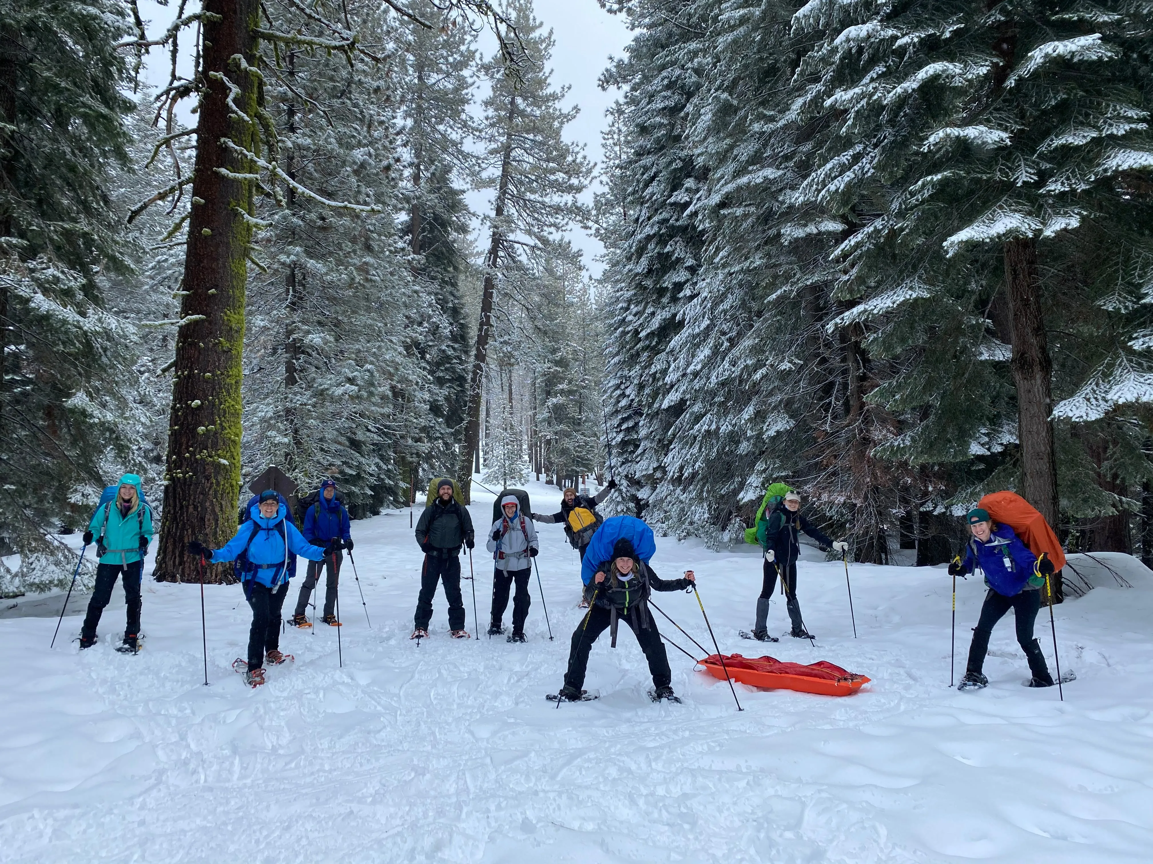 Snowshoeing Yosemite: Valley Overlook