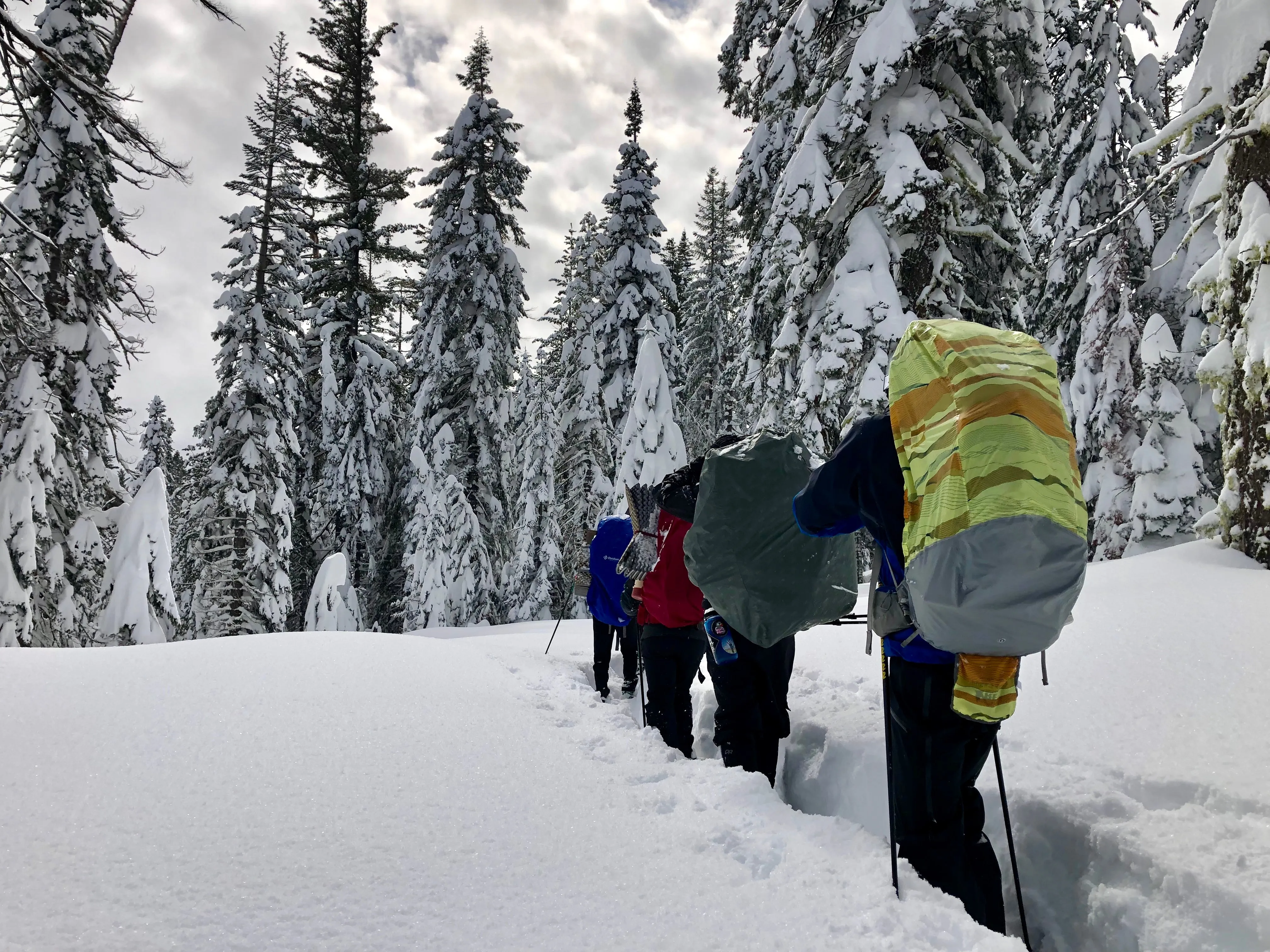 Snowshoeing Yosemite: Valley Overlook