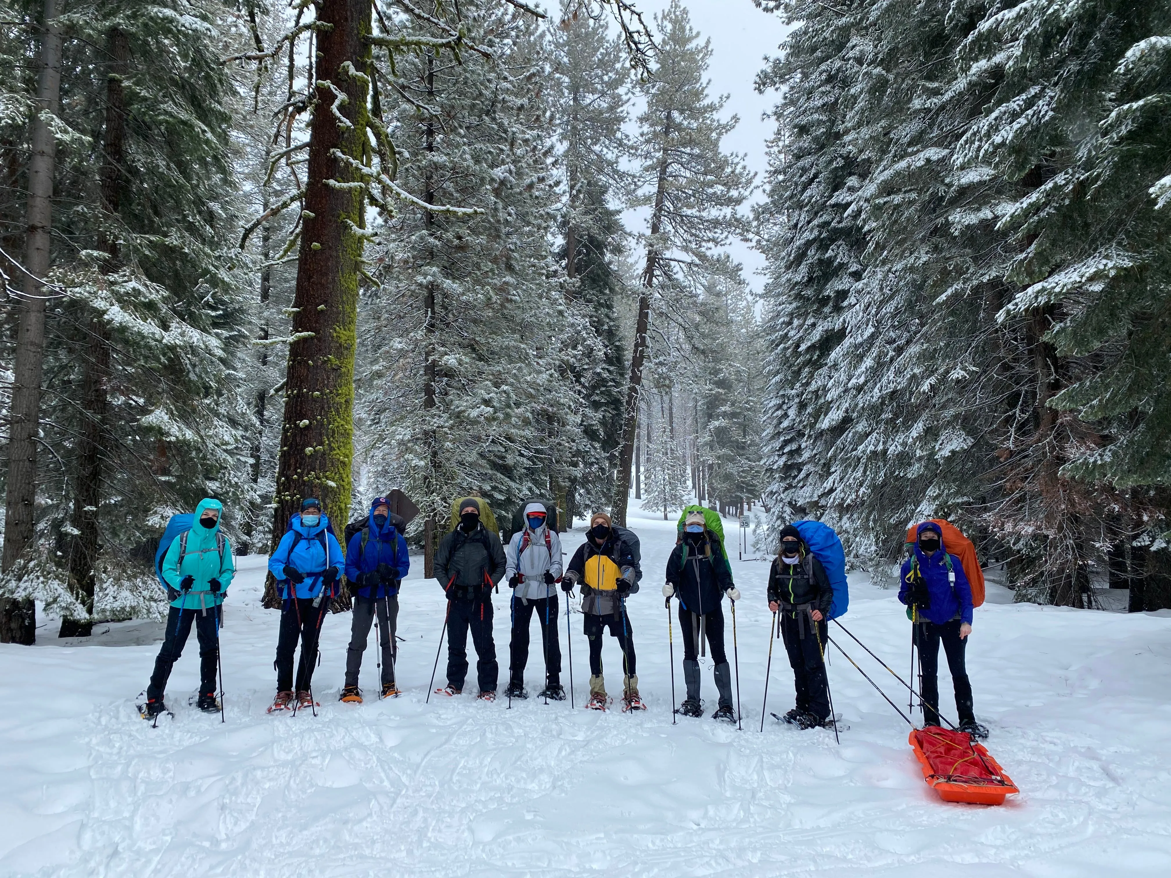 Snowshoeing Yosemite: Valley Overlook