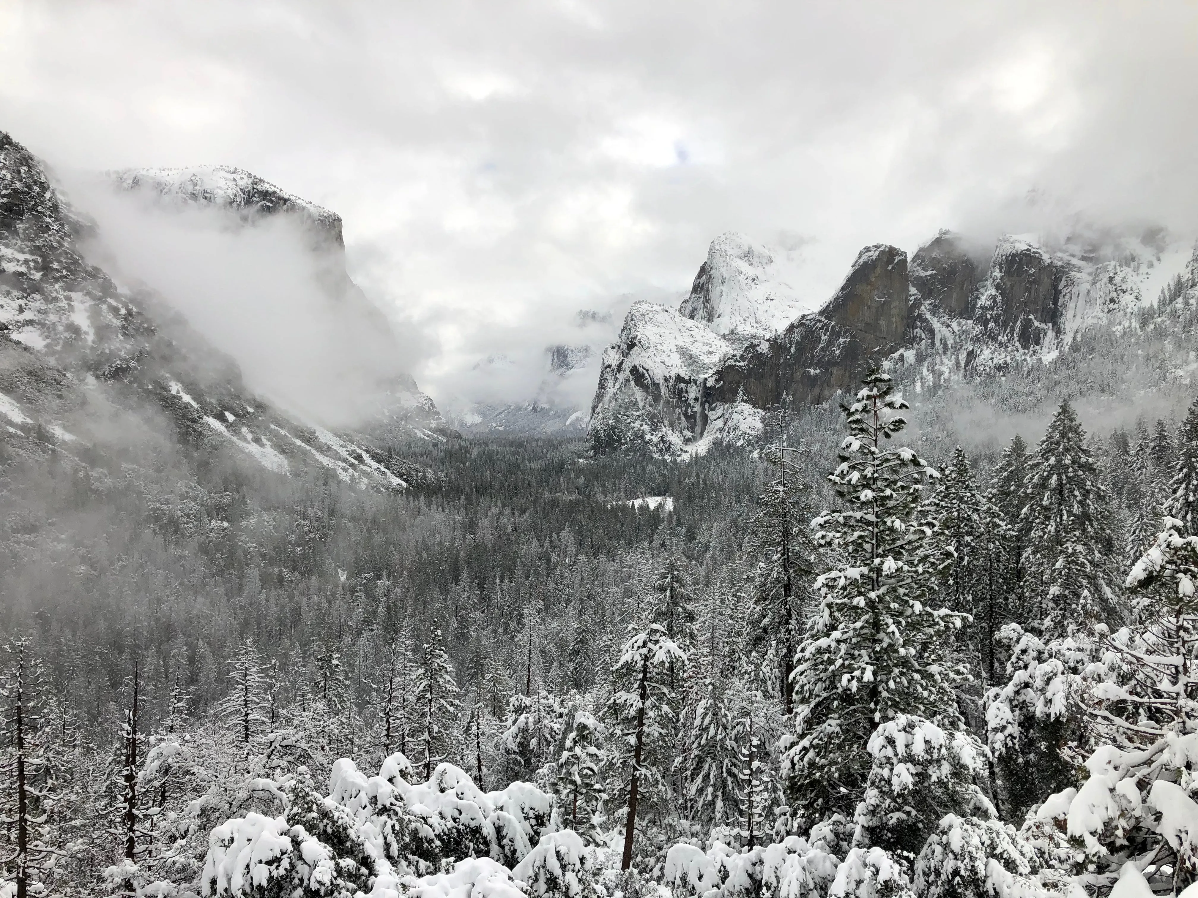 Snowshoeing Yosemite: Valley Overlook