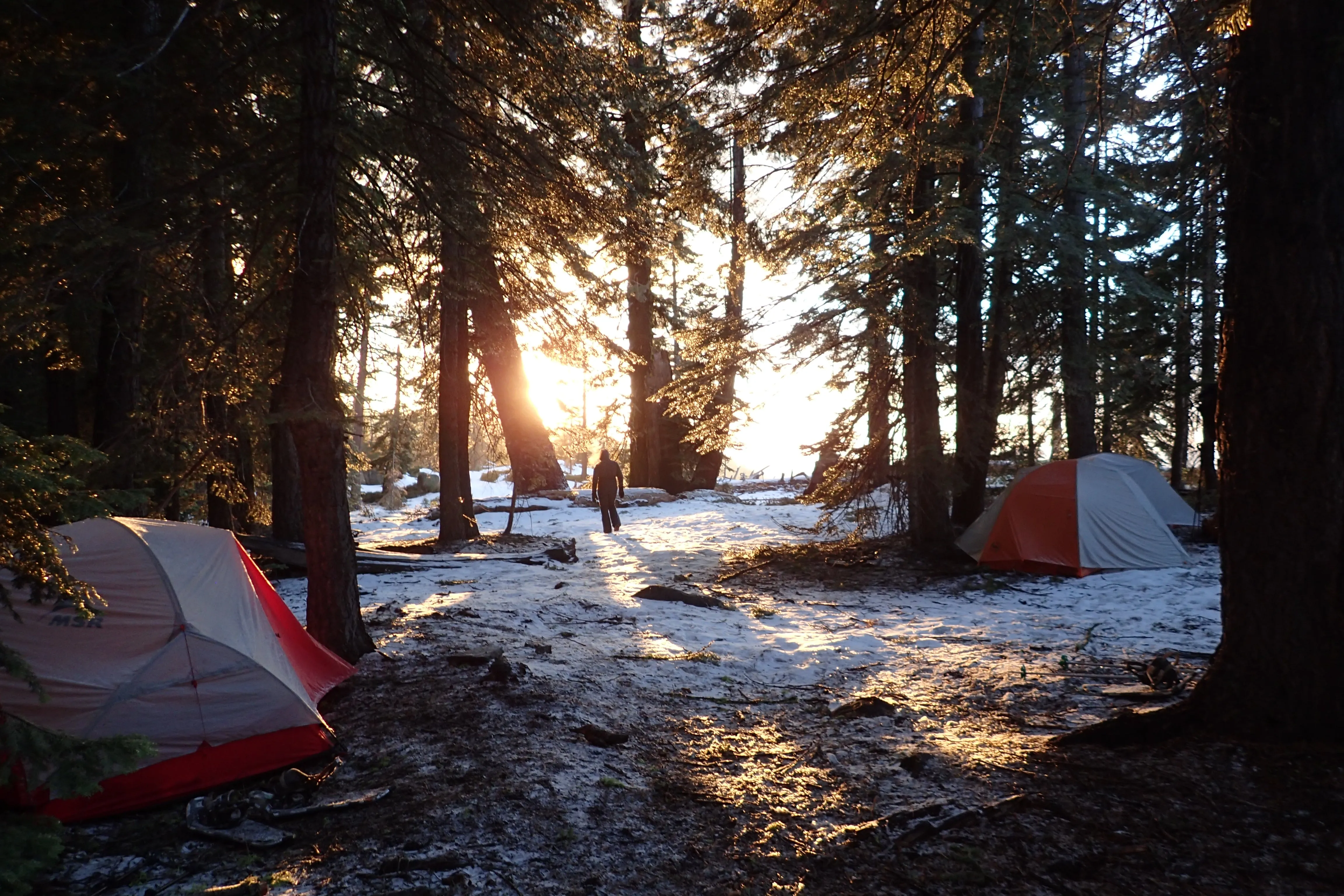 Snowshoeing Yosemite: Valley Overlook
