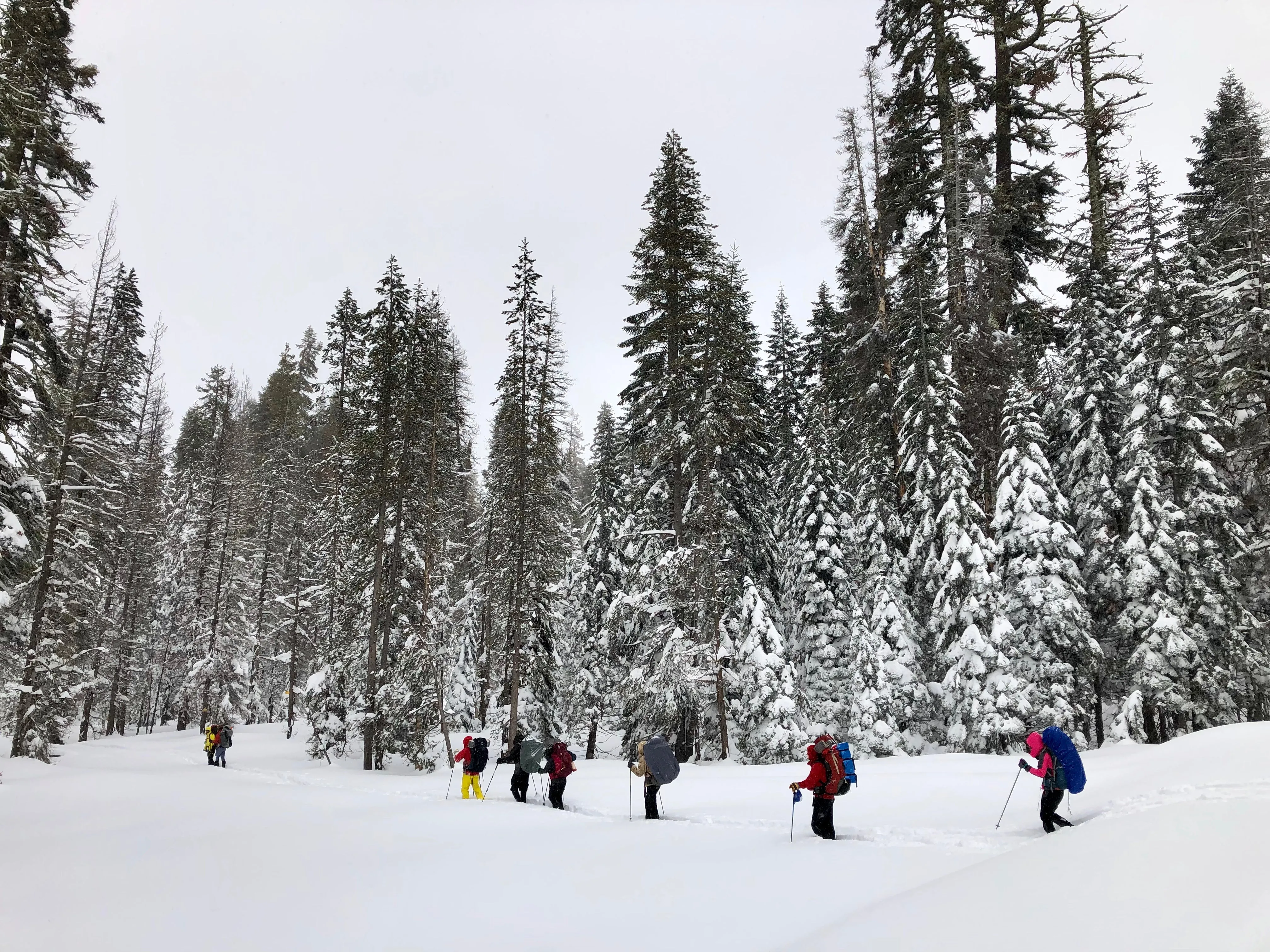 Snowshoeing Yosemite: Valley Overlook