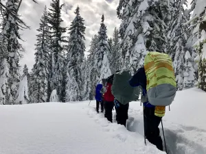 Snowshoeing Yosemite: Valley Overlook