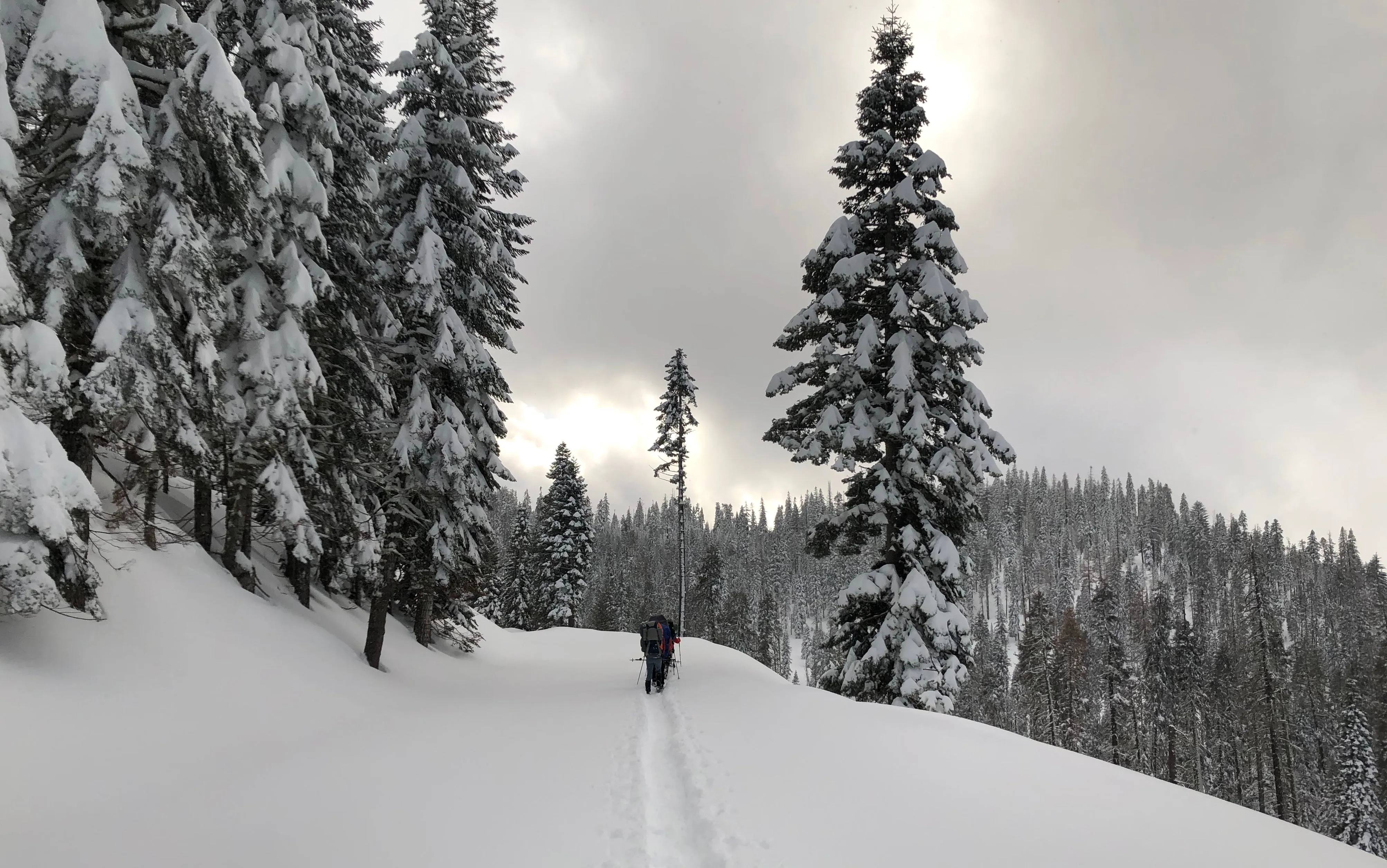 Snowshoeing Yosemite: Valley Overlook