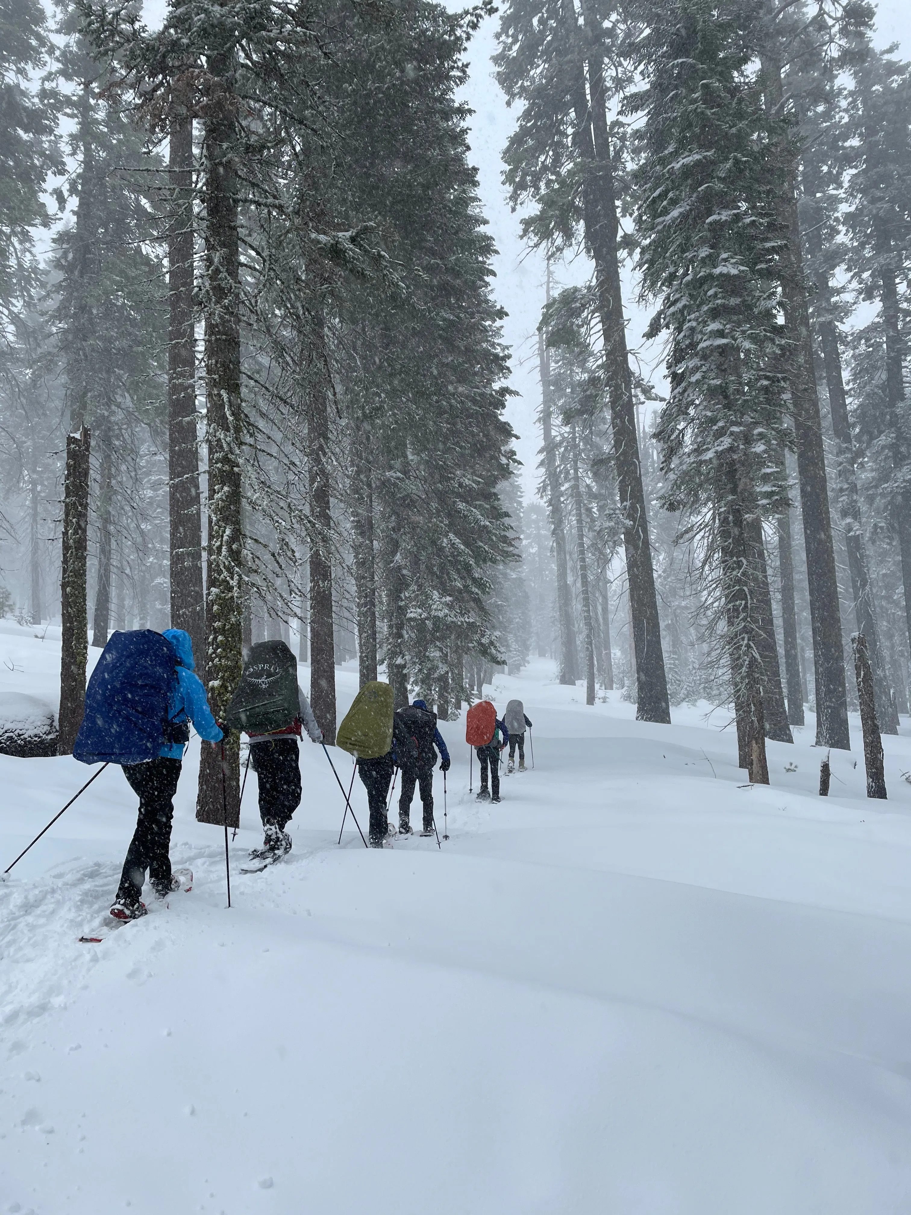 Snowshoeing Yosemite: Valley Overlook